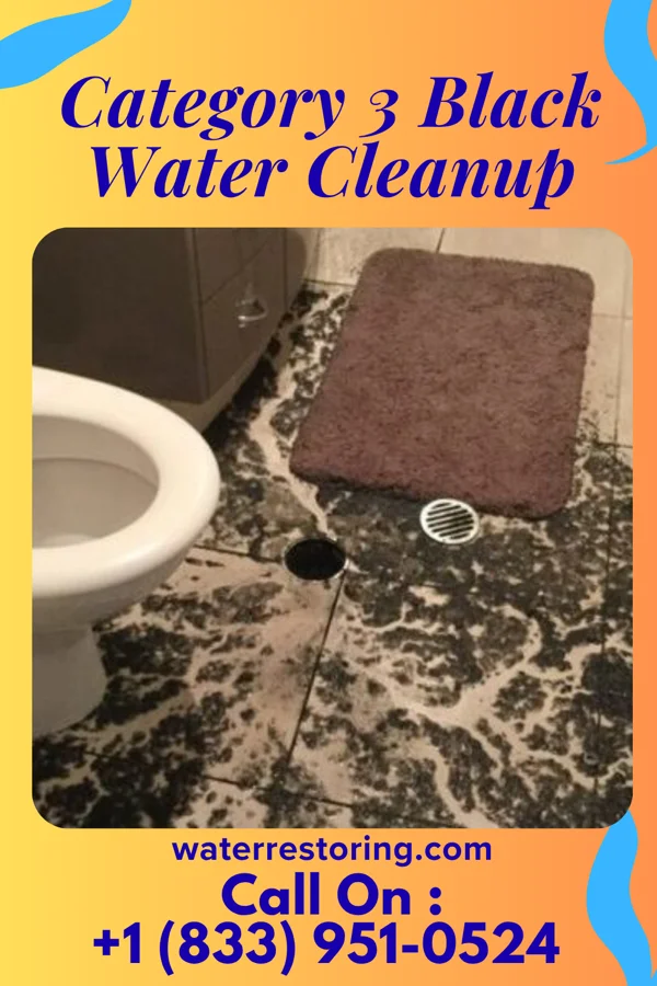 Category 3 Black Water Cleanup in Menlo, KS